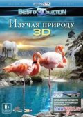   3D (2012)