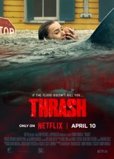 ������ ����� (2026)