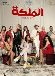 ���-������ (2024)