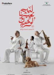 ����� ��������� ��� � ��������? (2024)