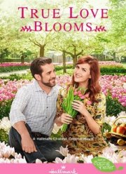 ����� ���������� ������ (2019)