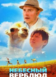 �������� ������� (2015)