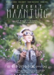 ������� ������� (2017)