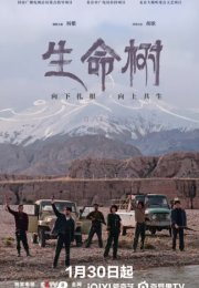 ��������� ���� / ������ ����� (2026)