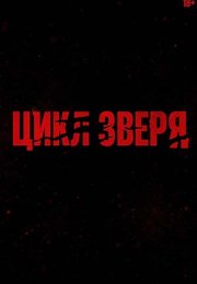 ���� ����� (2026)