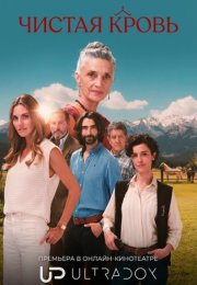 ������ ����� (2026)