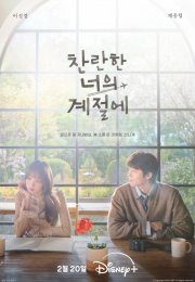 ��� ������ ����� (2026)