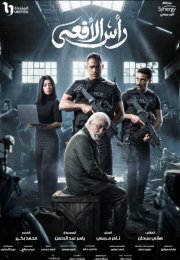 ������ ���� (2026)