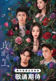 ������ / � ����� (2026)