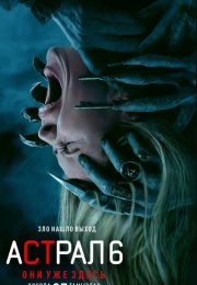 ������ 6: ��� ��� ����� (2026)