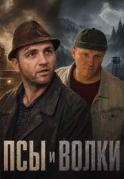 ��� � ����� (2026)