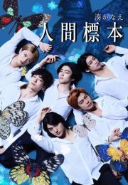 ������������ ������� (2025)