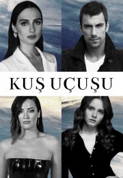 ����� ����� (1-3 �����)