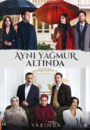 ��� ����� ������ (2026)