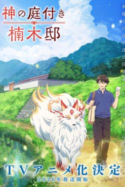 ������������ ��� � �������� �������� (2026)