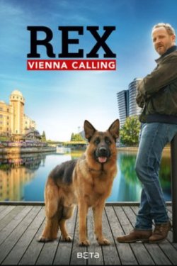 �������� ����: ���������� (2026)