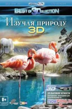   3D (2012)