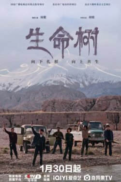 ��������� ���� / ������ ����� (2026)