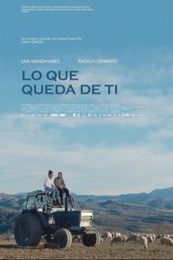 ������� ���� (2025)