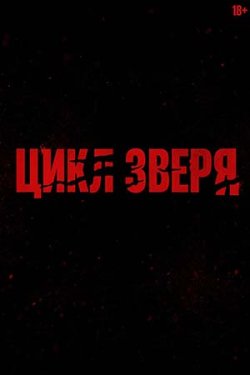 ���� ����� (2026)