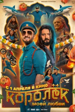 ������� ���� ����� (2026)