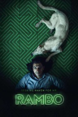 � ������� ������� ��� ������� ����� (2024)