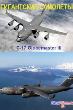  . C-17 Globemaster III (2014)