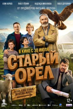 ������ ���� (2026)