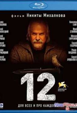  / 12 (2007)