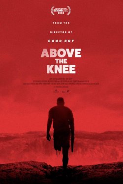 ���� ������ (2025)