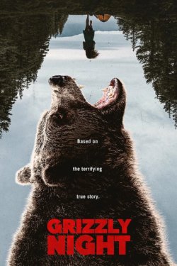 ���� ������ (2026)