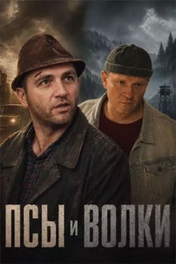 ��� � ����� (2026)