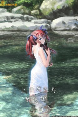 ����� �������, ������ ��������� � ������ ����� (2026)