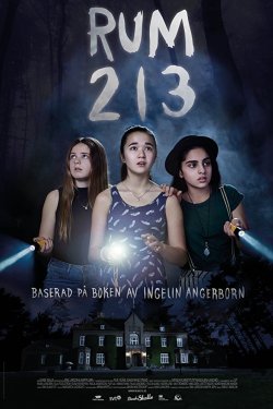  213 (2017)