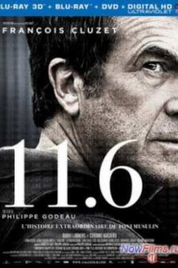 11.6 (2013)