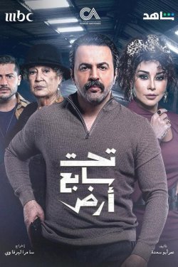 ���� ���������� ������ (2025)