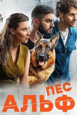 ��� ���� (2024)